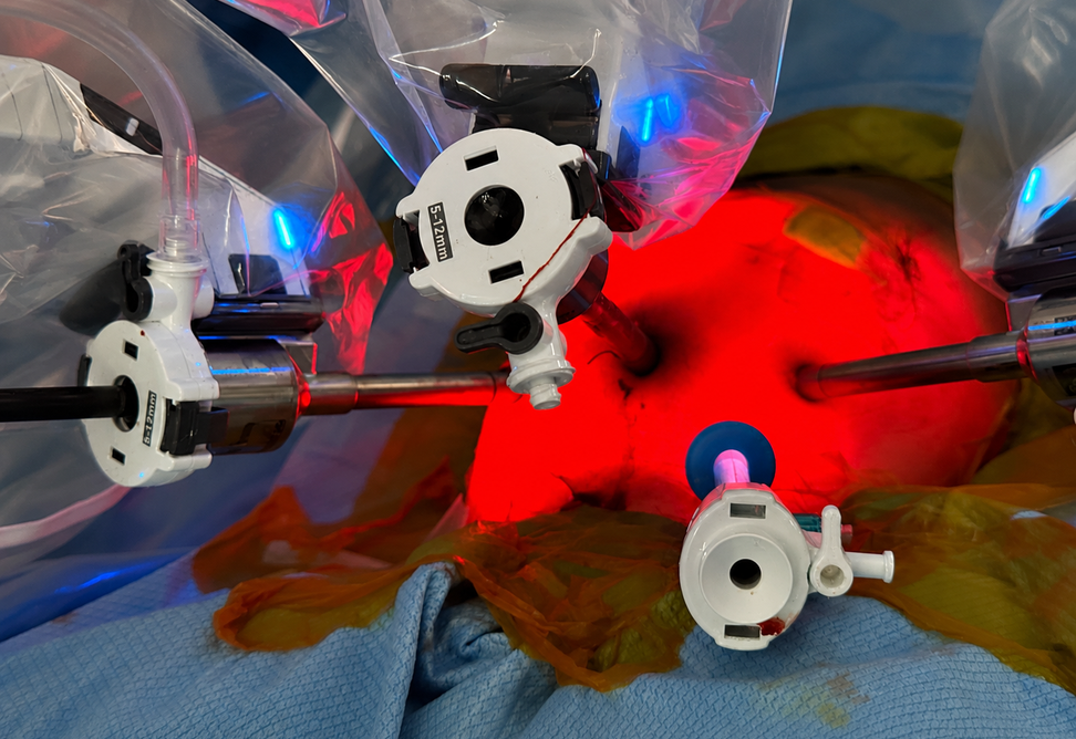Robotic surgical setup for the Research and Registry Committee