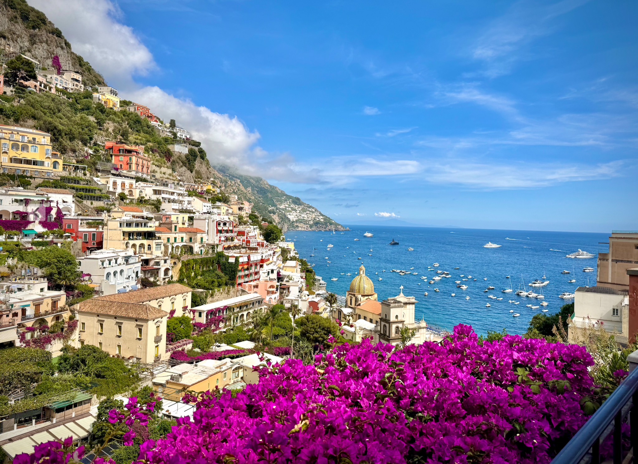 Coastal scene with flowers, blue sea, and hillside buildings