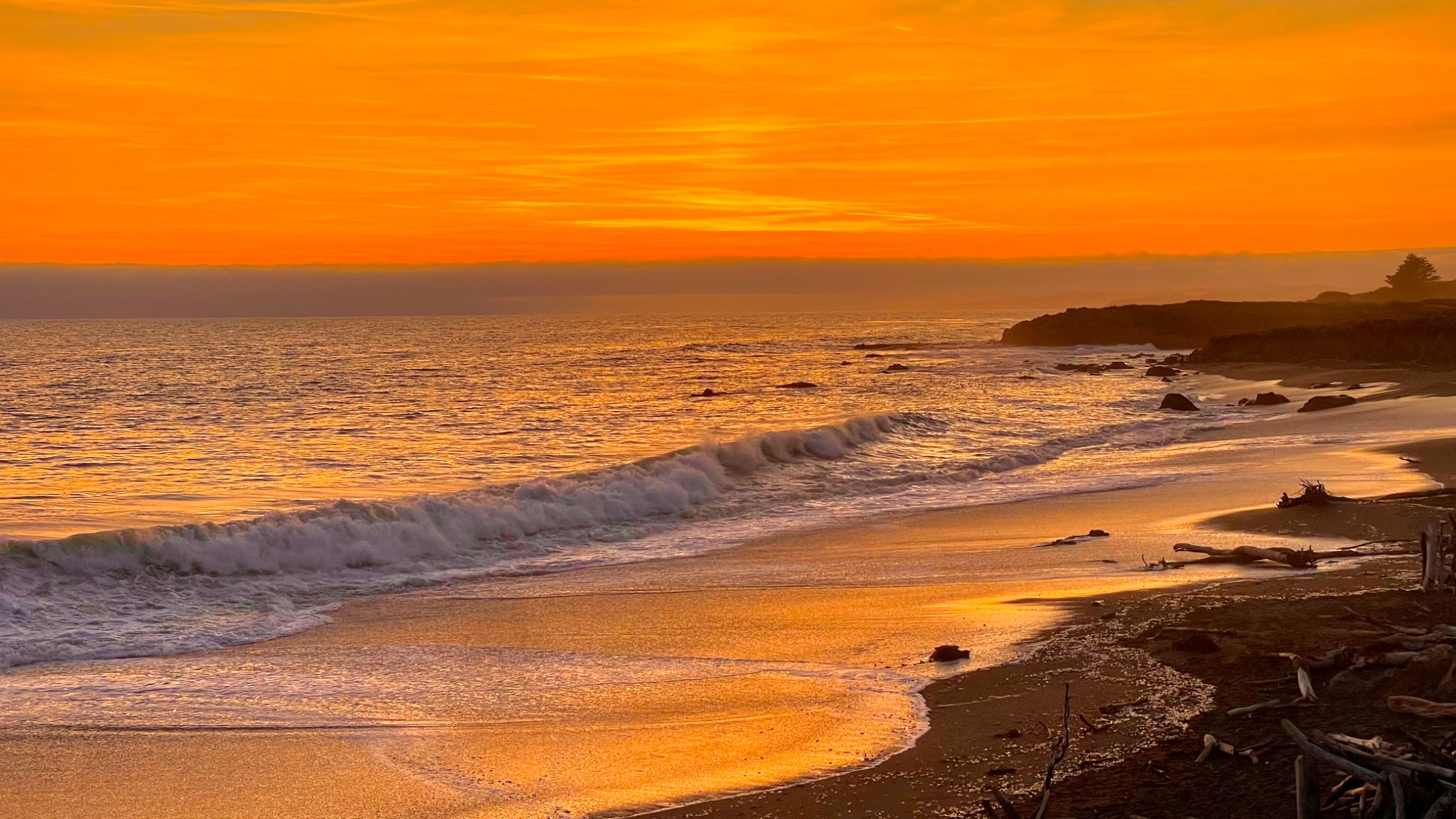 Sunset beach view for annual meeting and scientific program