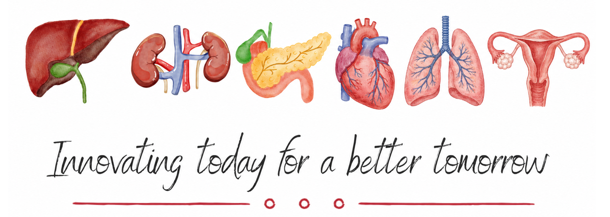 Illustrated transplant organs with the phrase Innovating today for a better tomorrow